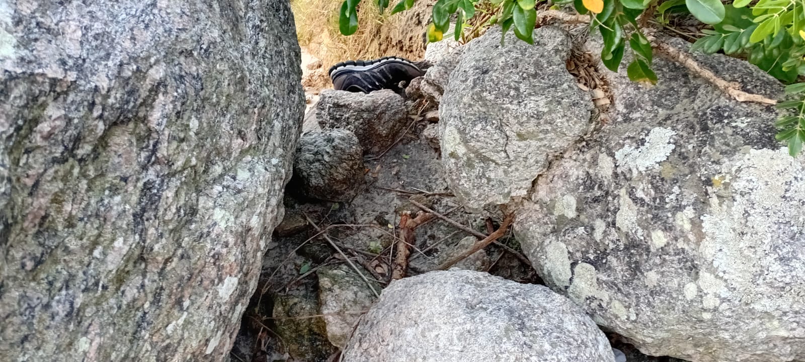 Tênis abandonado